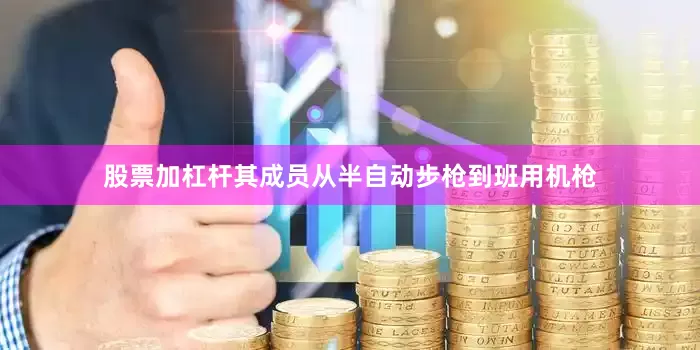 股票加杠杆其成员从半自动步枪到班用机枪