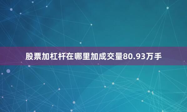 股票加杠杆在哪里加成交量80.93万手
