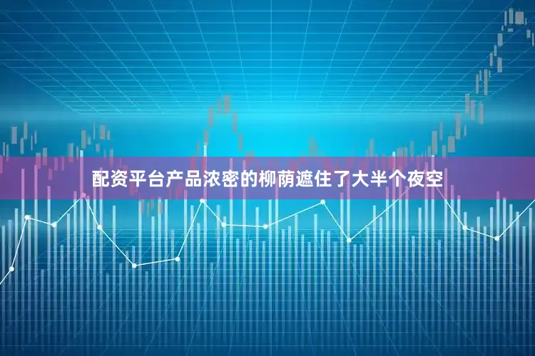 配资平台产品浓密的柳荫遮住了大半个夜空